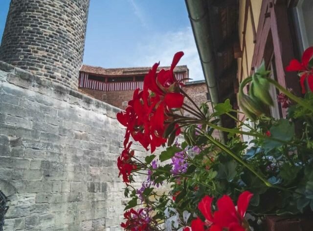 Imperial Castle in Nuremburg